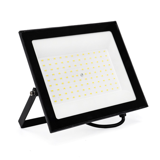 [LL/PR100W-F] PROYECTOR REFLECTOR LED 100W LUZ DIA - LIGHT LION